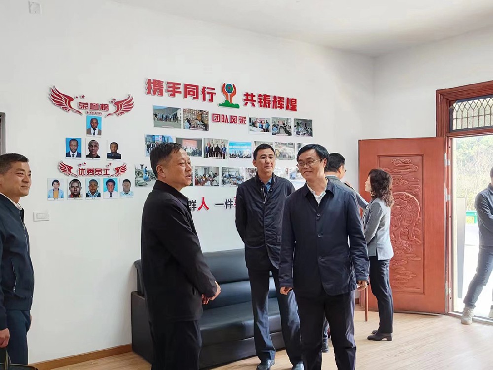 Hubei Department of Commerce Leaders Investigate 